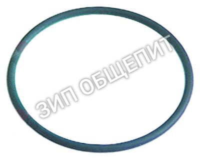 Кольцо уплотнительное Elettrobar, круглого сечения, EPDM, ø 50,47мм для 55 / 10 / 12 / 14 / CLEAN-100