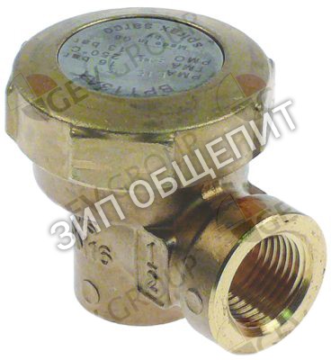 Конденсатоотводчик BPT13AX Ambach для DSK-100-80II-BF / DSK-150II / DSK-150II-BF / DSK-40 / DSK-80