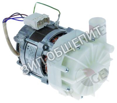 Насос 3102461 Winterhalter, UP60-442, 0,2/0,3кВт для GS310 / UC-L / UC-L-McDonalds / UC-M / UC-M-McDonalds / UC-S