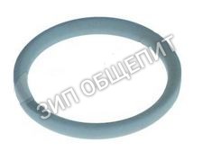 Уплотнительное кольцо 12024532 для пароконвектомата Virtus модели AIC0037-F
