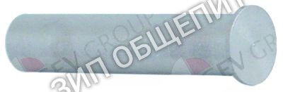 Штифт шарнирный Elettrobar для 050F / 050FP / 2312-001 / 2312-002 / 450